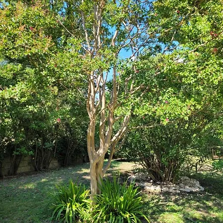 Au Bord De L'alzon * Uzès